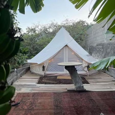 Yurt In Avocado Garden Hotel Güimar Kültér fotó