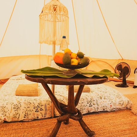 Yurt In Avocado Garden Hotel Güimar Kültér fotó
