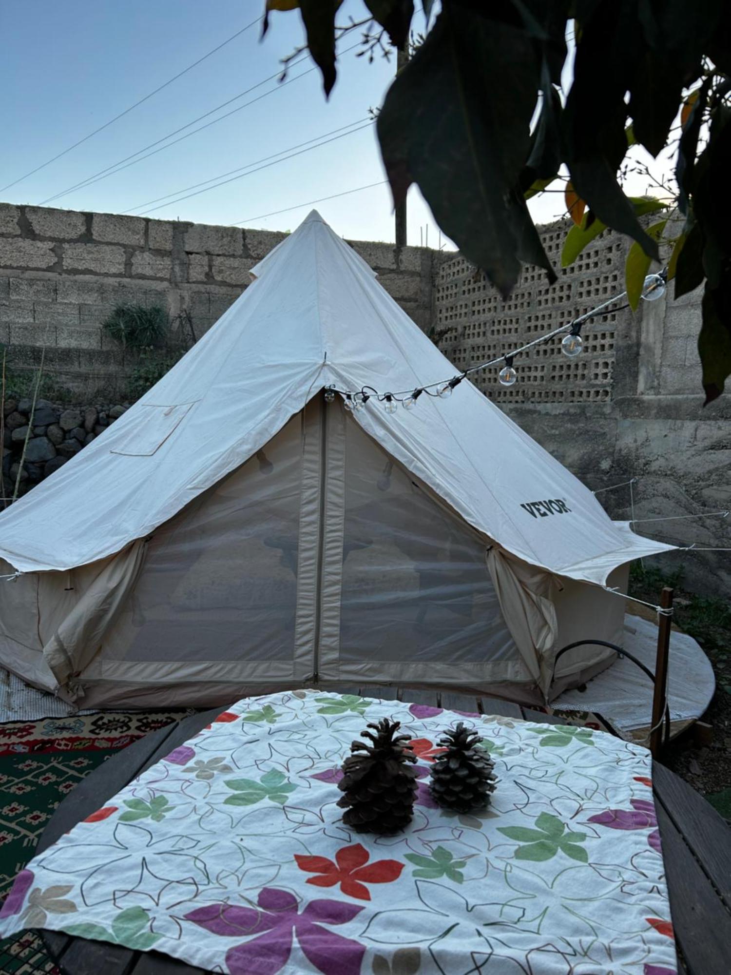 Yurt In Avocado Garden Hotel Güimar Kültér fotó