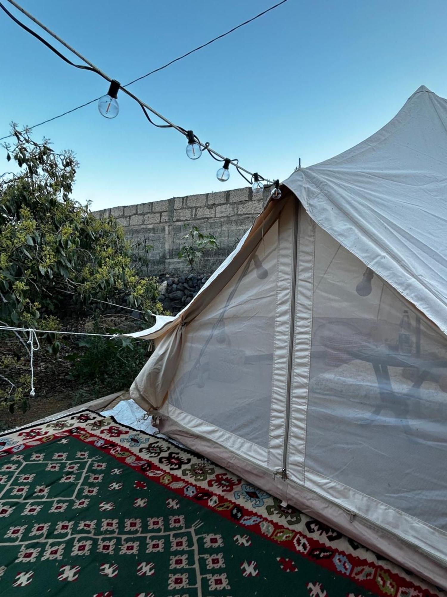 Yurt In Avocado Garden Hotel Güimar Kültér fotó