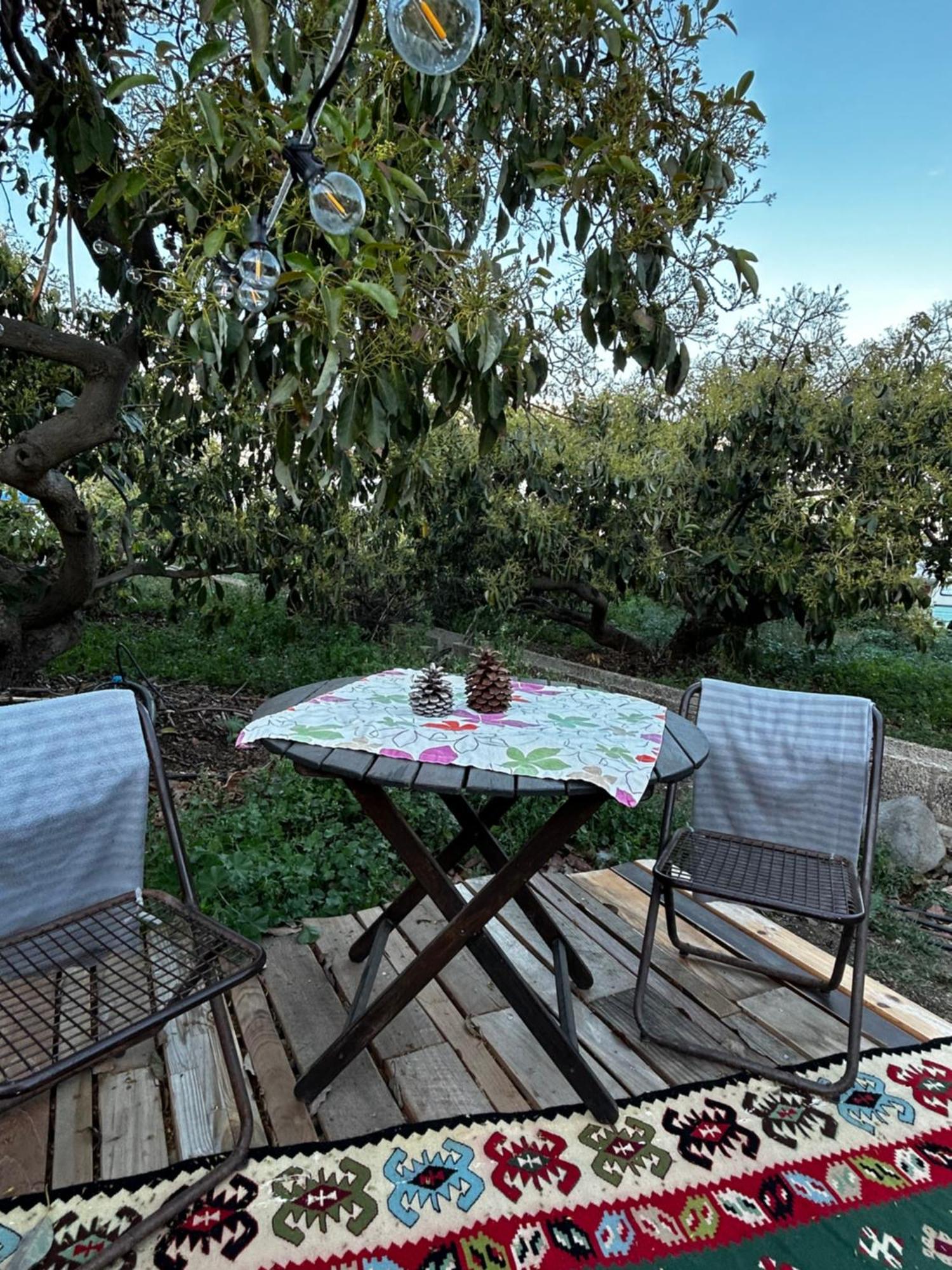 Yurt In Avocado Garden Hotel Güimar Kültér fotó