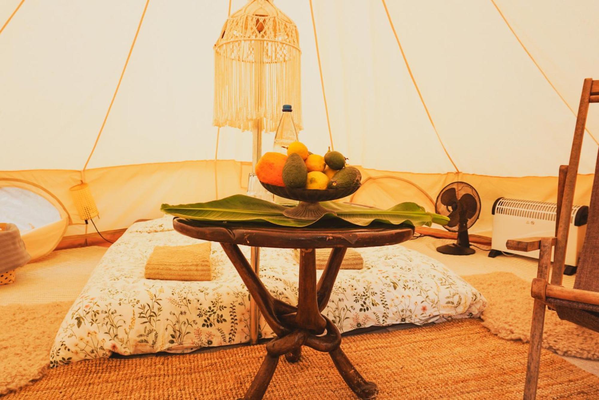 Yurt In Avocado Garden Hotel Güimar Kültér fotó