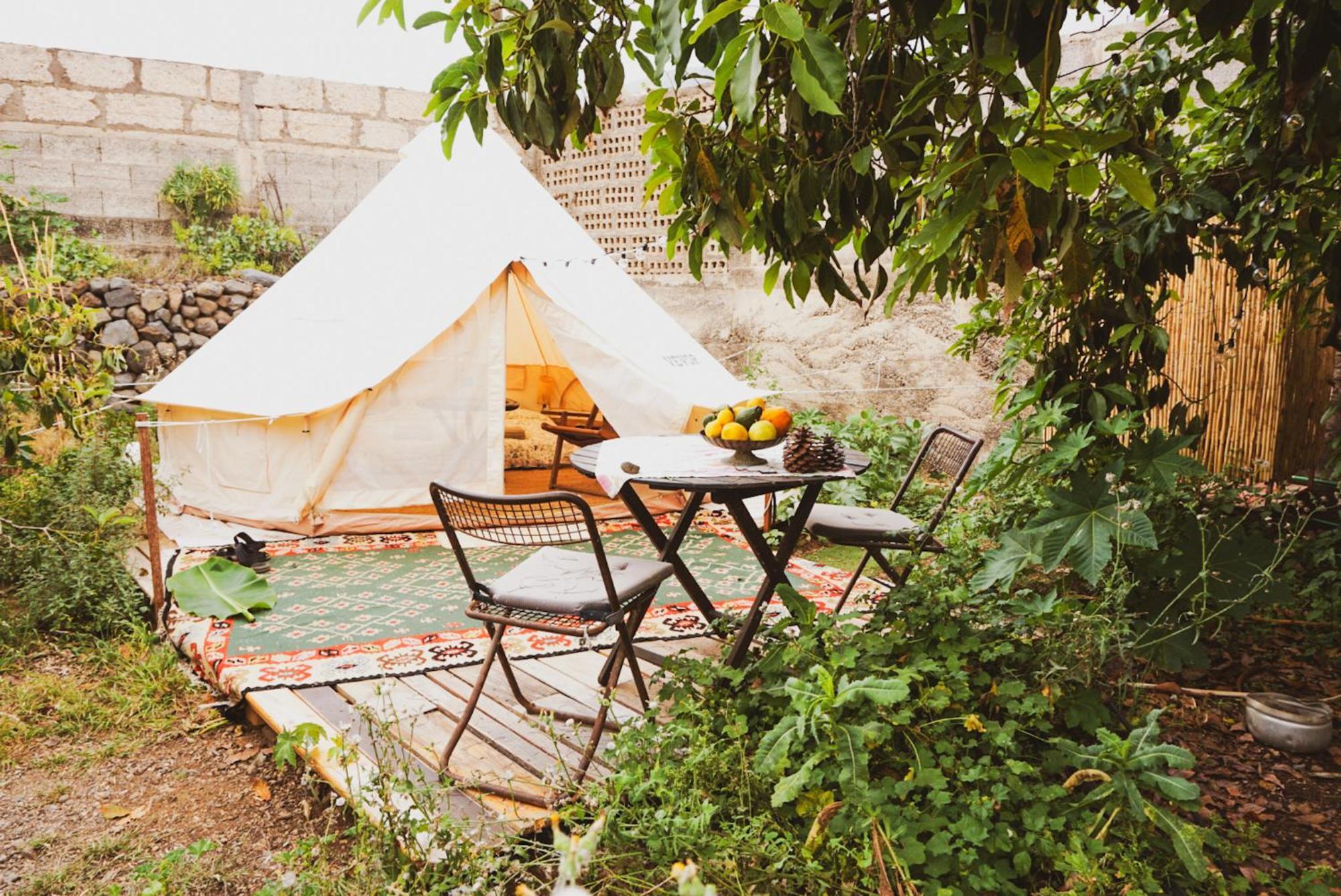 Yurt In Avocado Garden Hotel Güimar Kültér fotó