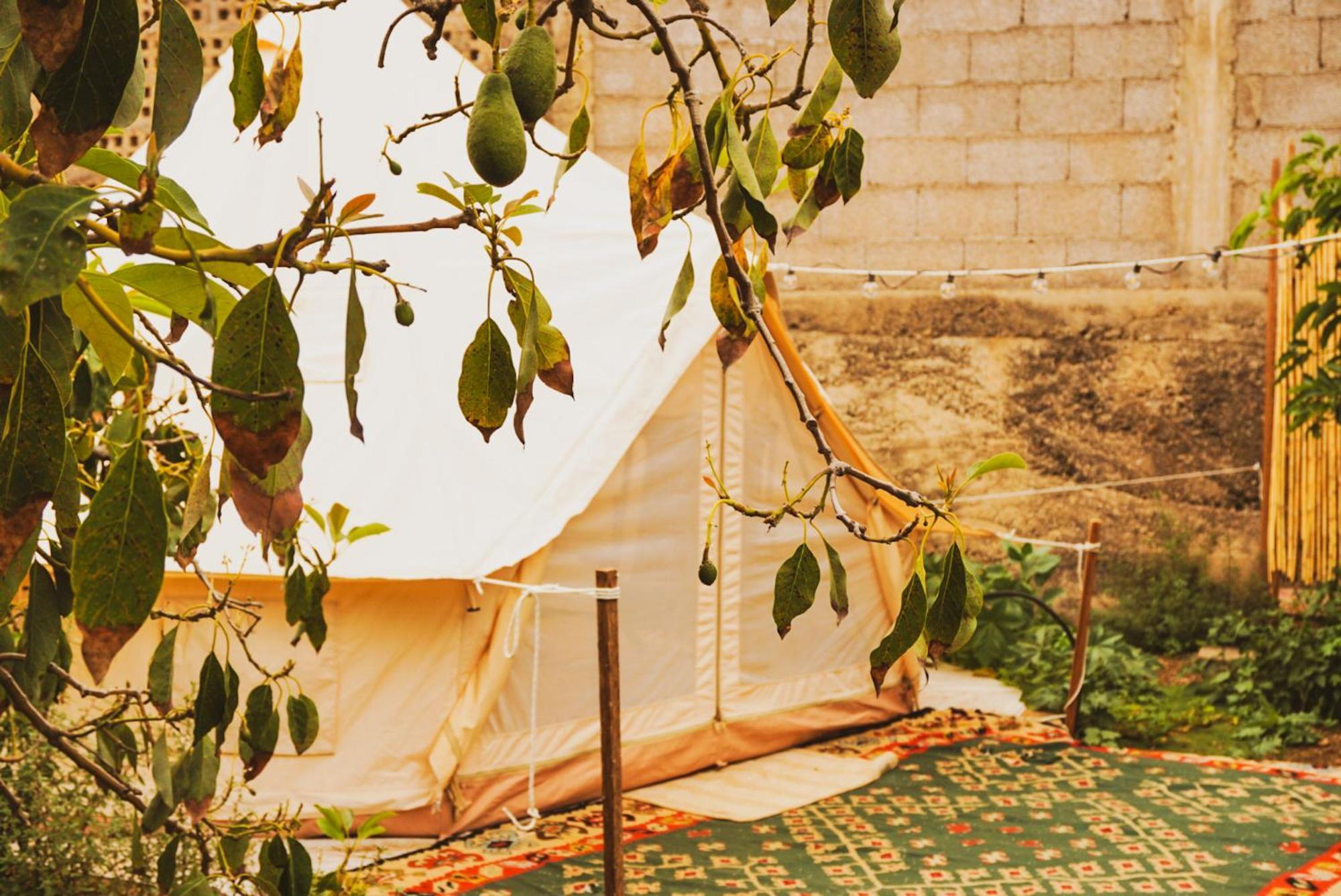 Yurt In Avocado Garden Hotel Güimar Kültér fotó